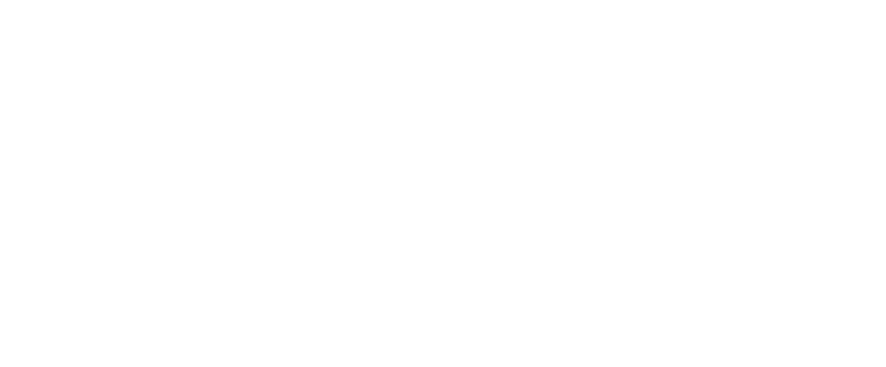 Bridges Global
